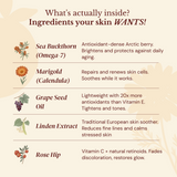 Youth Renewal Day Balm
