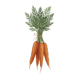 ing-beta-carotene.png