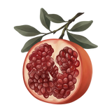 ing-pomegranate.png