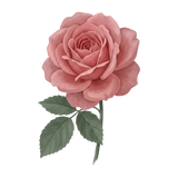 ing-rose.png