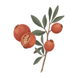 ing-rosehip.png
